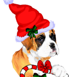 Cute Boxer Dog Christmas Holiday Card