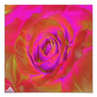 Fuschia Art, Posters &amp; Framed Artwork | Zazzle.co.uk