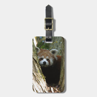 Red Panda Gifts - T-Shirts, Art, Posters & Other Gift Ideas | Zazzle