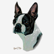 Zazzle Boston terrier 