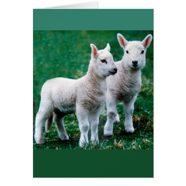 Sven & Ole Card (Front)