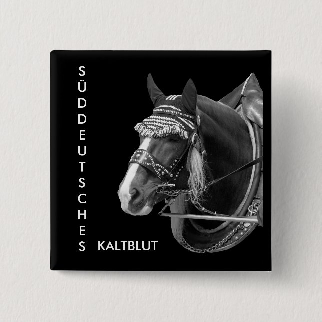 sw3526, SOUTH GERMAN, COLD BLOOD 15 Cm Square Badge (Front)