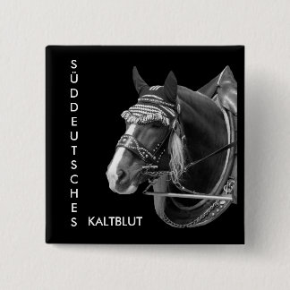 sw3526, SOUTH GERMAN, COLD BLOOD 15 Cm Square Badge