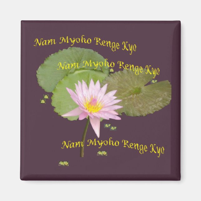 Swaaj NMRK Magnet (Front)