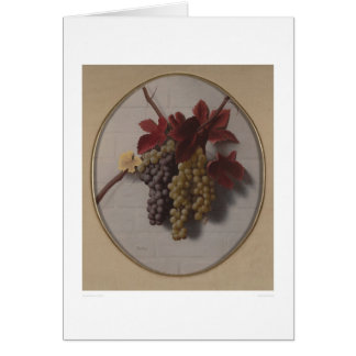 Swag of Grapes (1363)