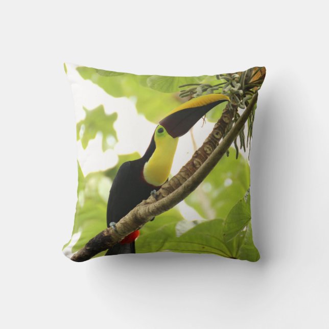 Swainson Toucan Exotic Bird Cushion (Front)