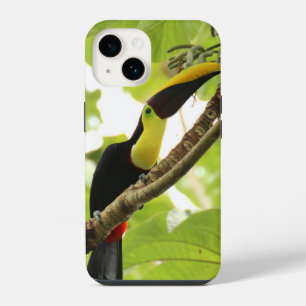Swainson Toucan Exotic Bird iPhone 14 Case