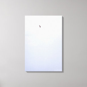 Swainson's Hawk Canvas Print