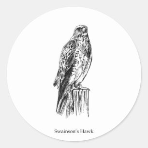 Swainson's Hawk Logo (perched) Classic Round Sticker