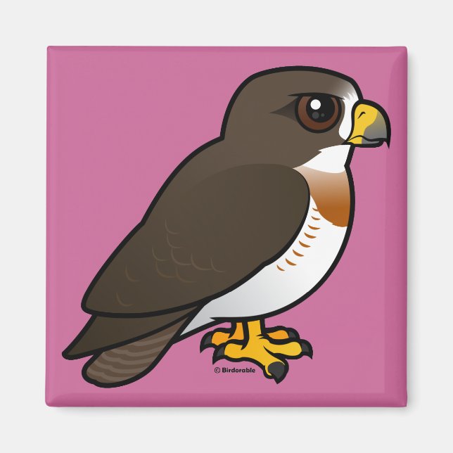 Swainson's Hawk Magnet (Front)