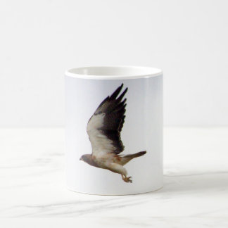 Swainson's Hawk Mug