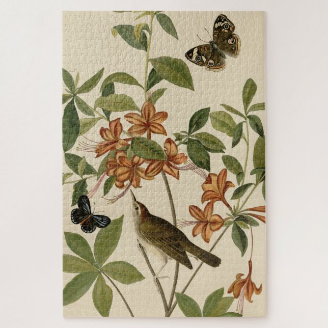 Swainson's Warbler from Audubon's Birds of America Jigsaw Puzzle (Vertical)