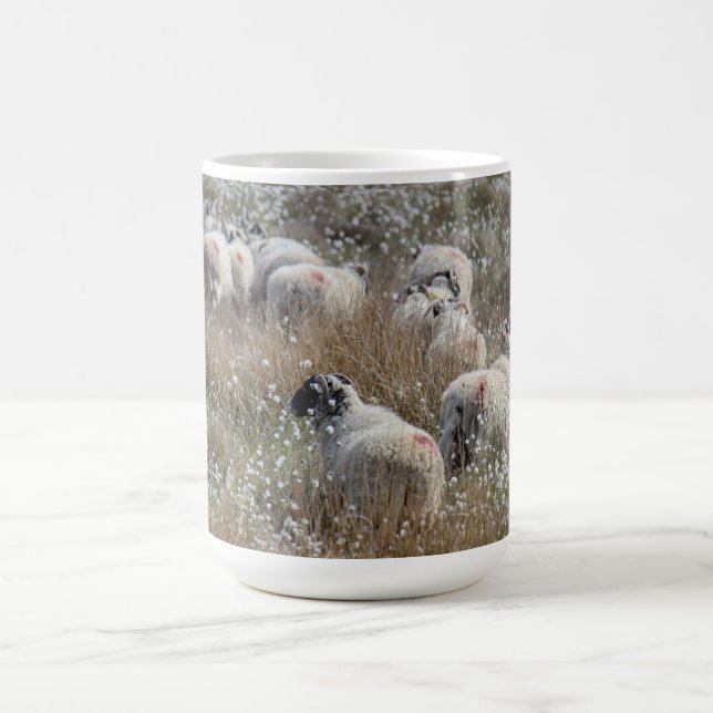 Swaledale ewes in cotton grass in Northhumberland  Coffee Mug (Center)