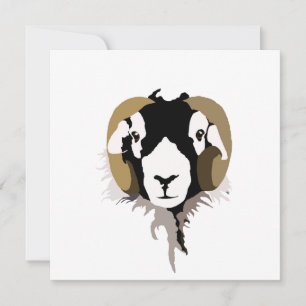 Swaledale sheep  card