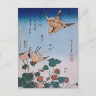 Swallow and begonia and strawberry pie Katsushika Postcard