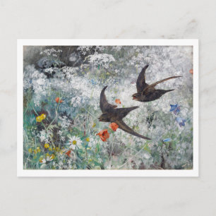 Swallow and Flower Field, Bruno Liljefors Postcard