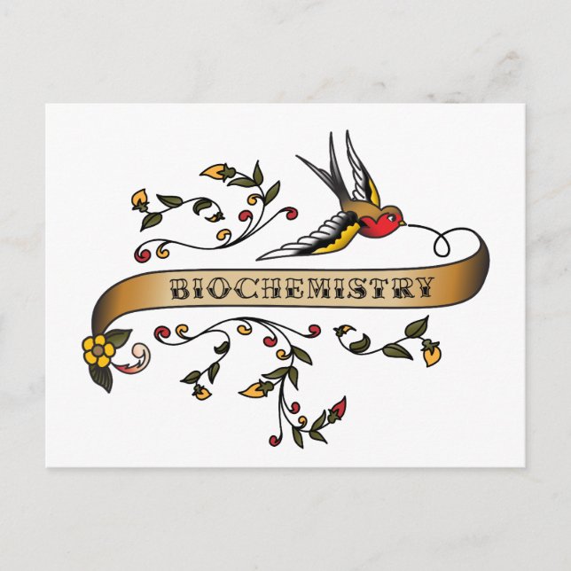 Swallow and Scroll with Biochemistry Postcard (Front)