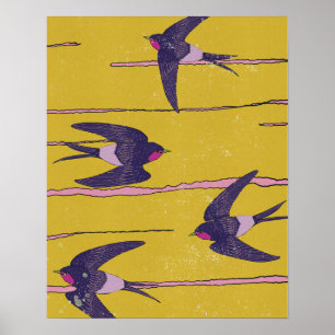 Swallow Birds Poster