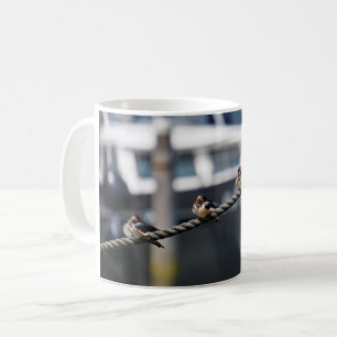 Swallow birds sitting in a row in the haven coffee mug