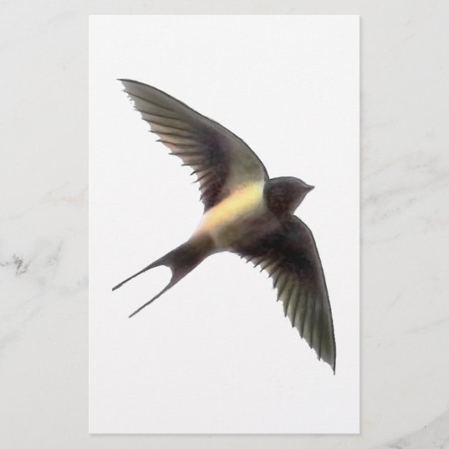 Swallow Clear Stationery (Front)