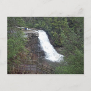 swallow falls postcard