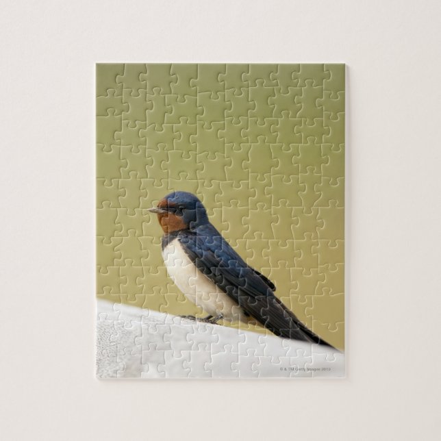 Swallow on a Wooden Ledge Jigsaw Puzzle (Vertical)