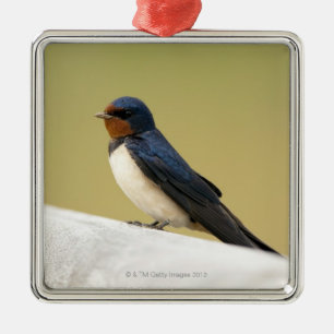Swallow on a Wooden Ledge Metal Tree Decoration