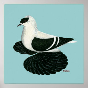 Swallow Pigeon Saxon Black White Bar Poster