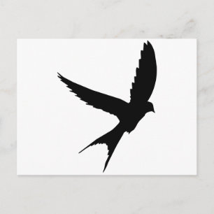 Swallow Silhouette Postcard