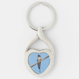 Swallow sitting on wire key ring