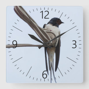 Swallow Square Wall Clock