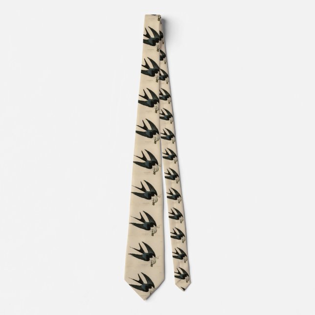 Swallow-tailed Hawk - Audubon's Birds of America Tie (Front)