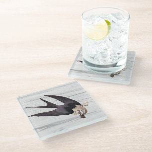 Swallow Tailed Hawk with Snake on Rustic Grey Glass Coaster