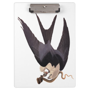 Swallow Tailed Hawk with Snake Vintage Audubon Clipboard