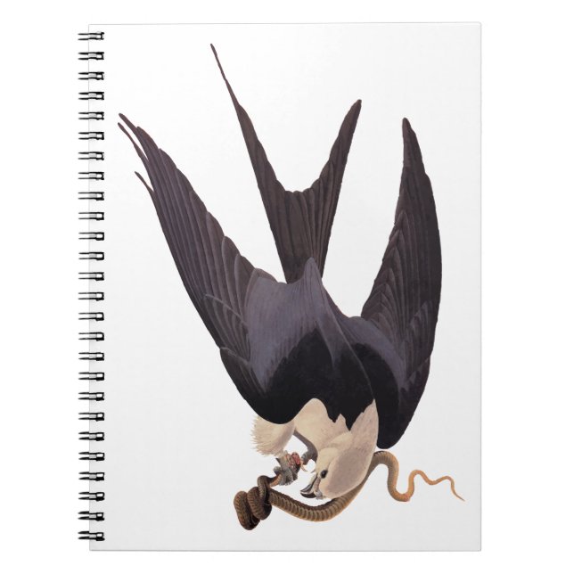 Swallow Tailed Hawk with Snake Vintage Audubon Notebook (Front)