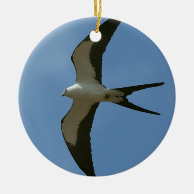 Swallow-tailed Kite Ceramic Tree Decoration (Front)