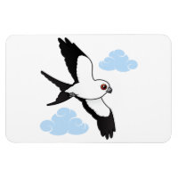 Swallow-tailed Kite in flight