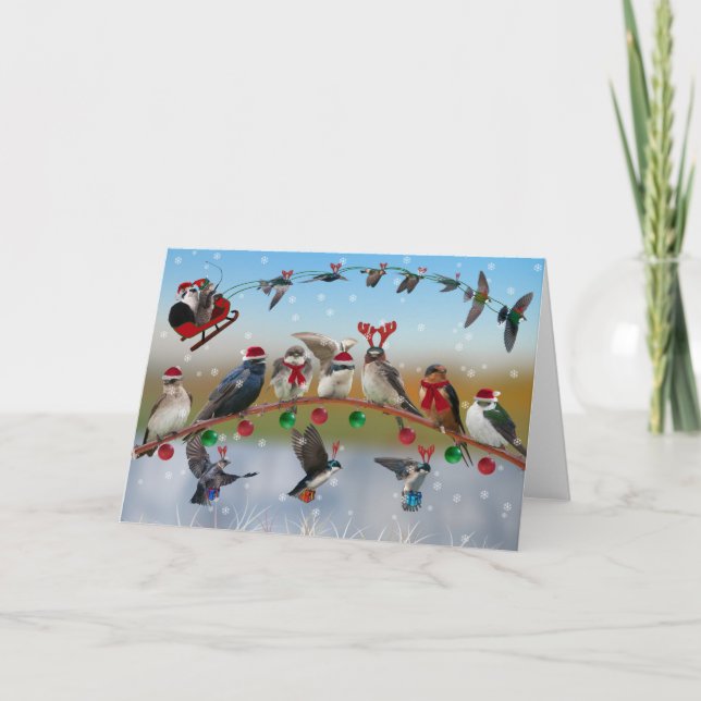 Swallows and Purple martins Holiday Card (Front)