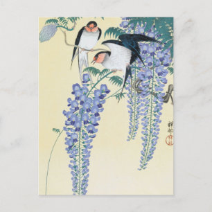 Swallows and Wisteria by Ohara Koson Postcard