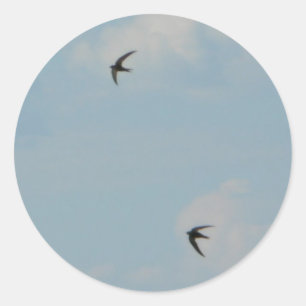 Swallows Birds Classic Round Sticker