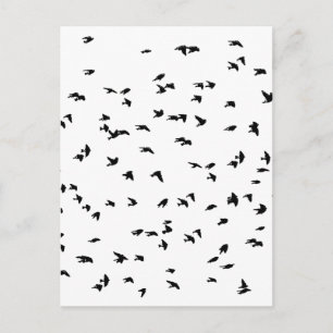 Swallows in Flight Bird Print Postcard