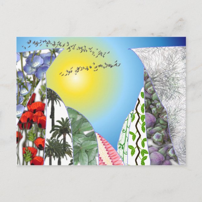 Swallows Postcard (Front)