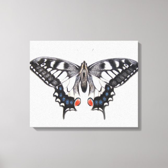 Swallowtail 2012 canvas print (Front)