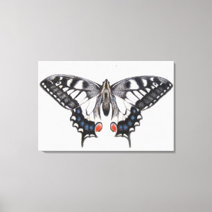 Swallowtail 2012 canvas print