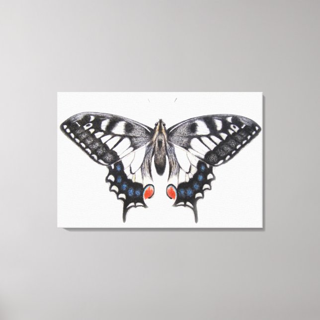 Swallowtail 2012 canvas print (Front)