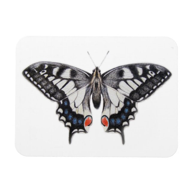 Swallowtail 2012 magnet (Horizontal)