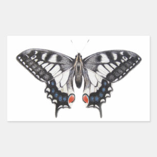 Swallowtail 2012 rectangular sticker