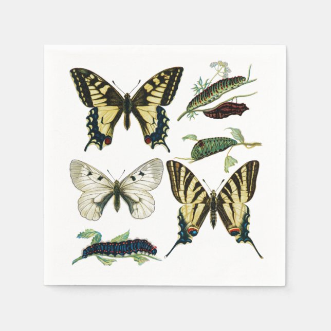Swallowtail Butterflies, Caterpillars and Moth Napkin (Front)