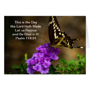 Swallowtail Butterfly