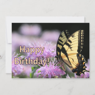 Swallowtail butterfly birthday wishes holiday card